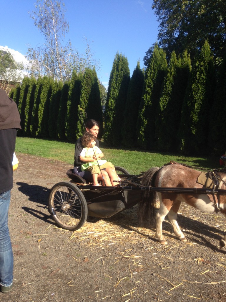 Ivy's pony giving rides to party guests Evita and Lula